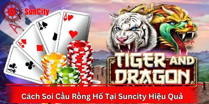 Cách Soi Cầu Rồng Hổ Tại Suncity Hiệu Quả