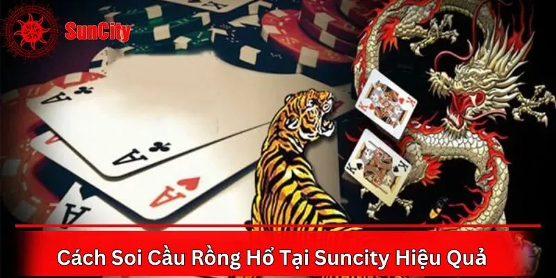 Soi cầu rồng hổ có chính xác không?
