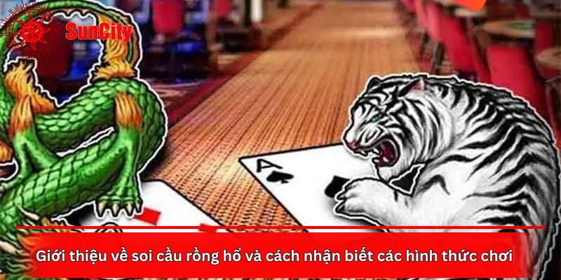 Giới thiệu về soi cầu rồng hổ và cách nhận biết các hình thức chơi