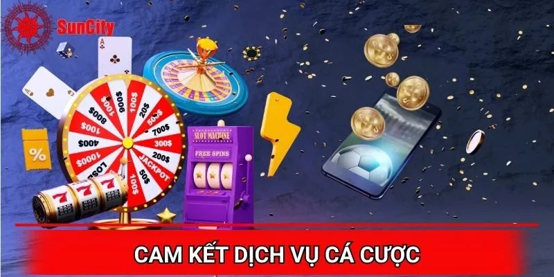 Cam kết dịch vụ cá cược tại Suncity có chất lượng tối ưu