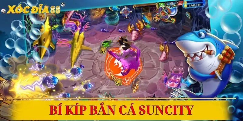 Học bí kíp săn cá Suncity chuẩn xác, tăng cơ hội trúng thưởng cực lớn