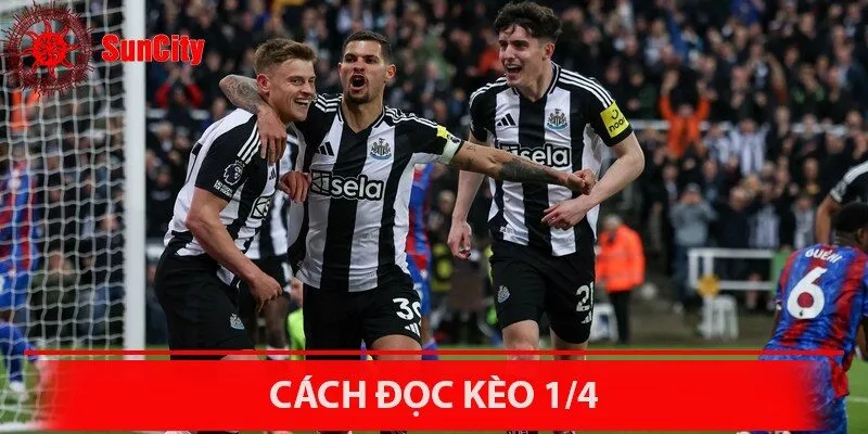 Cách đọc mức cược 1/4 không phức tạp như nhiều người nghĩ mà vô cùng đơn giản