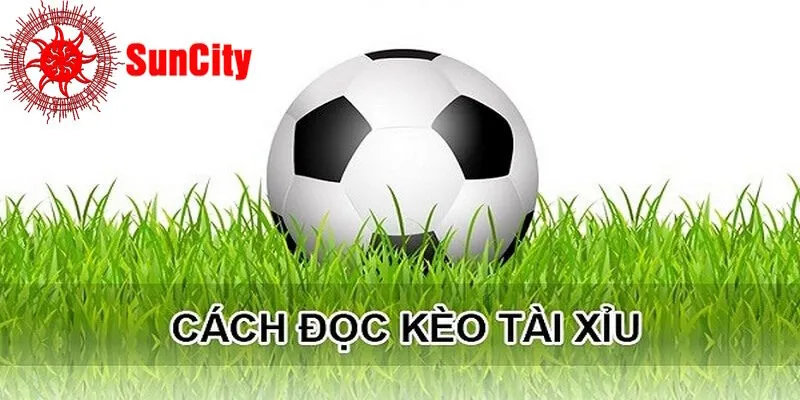 Cách đọc kèo cơ bản cho mọi dân cược